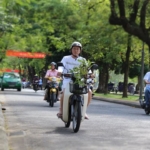 11motorbikes in Vietnam