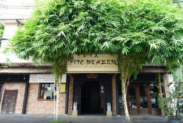fito museum
