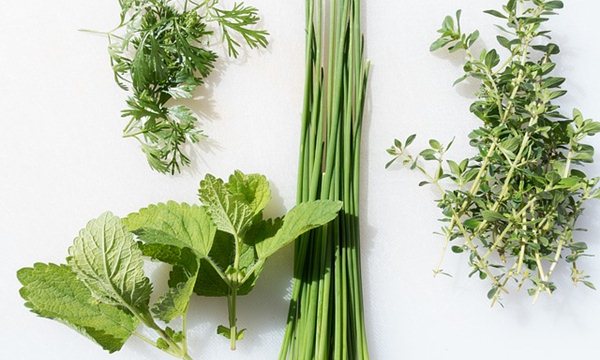 Vietnamese herbs