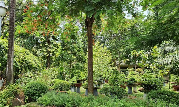 botanical garden saigon
