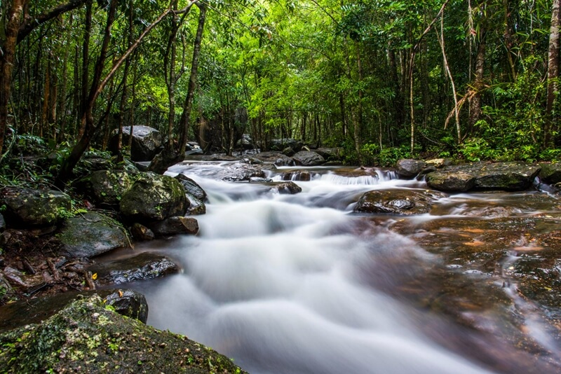 stream in phu quoc national park