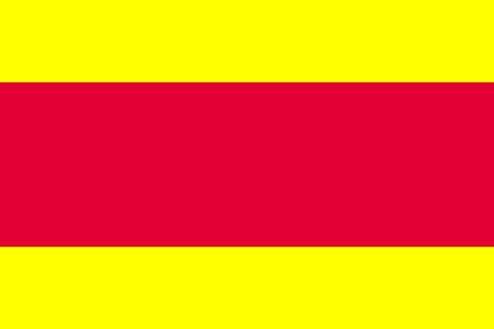 long tinh flag