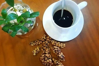 vietnam weasel coffee