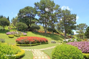 Beutiful Dalat Flower Park