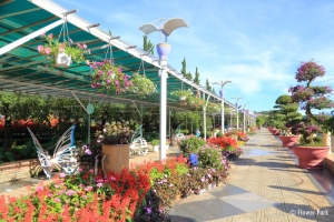 datlat central flower park