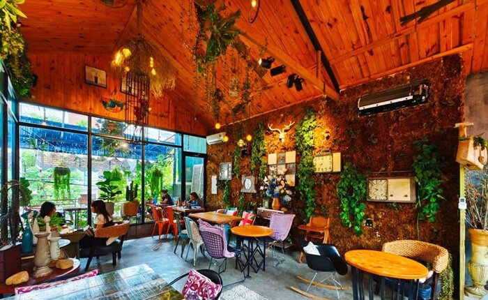 amazing jungle cafe nha trang vietnam