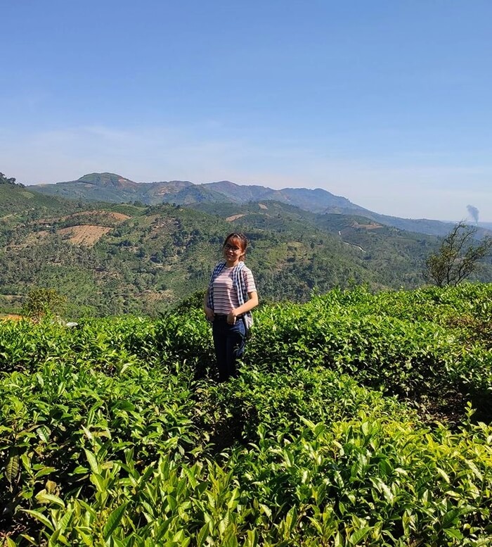 visit tea farm