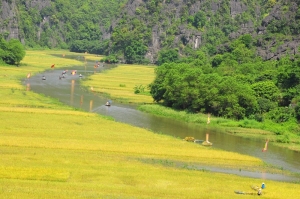 beautiful tam coc bich dong landscape