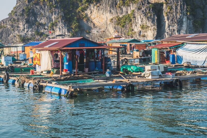 cai beo fishing village in cat ba