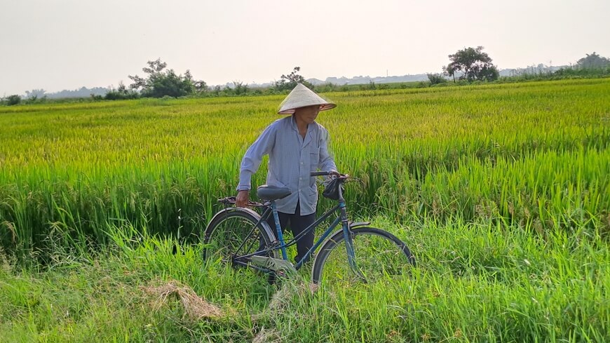 farmer in paddy field