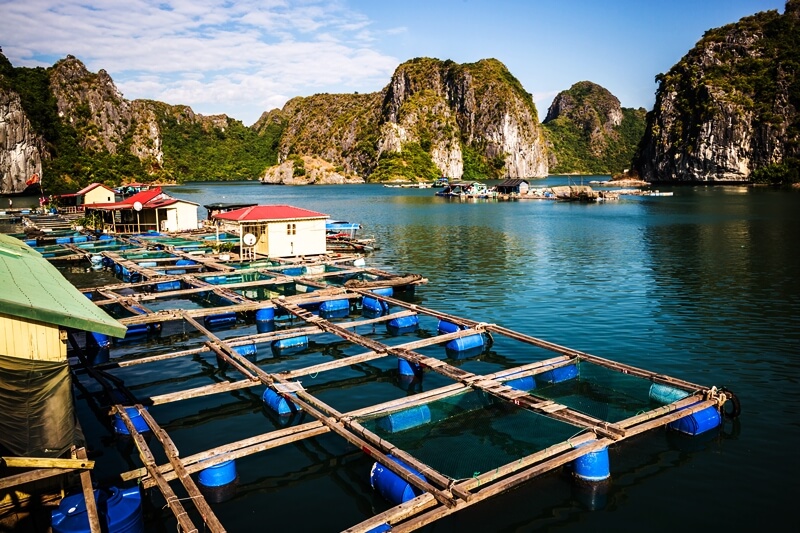 lovely fishing village in halong bay